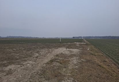 Działka budowlana 1000 m² w boroszkowie