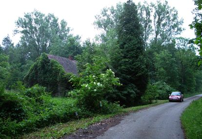 Działka budowlana przy lesie | leśniczówka | droga