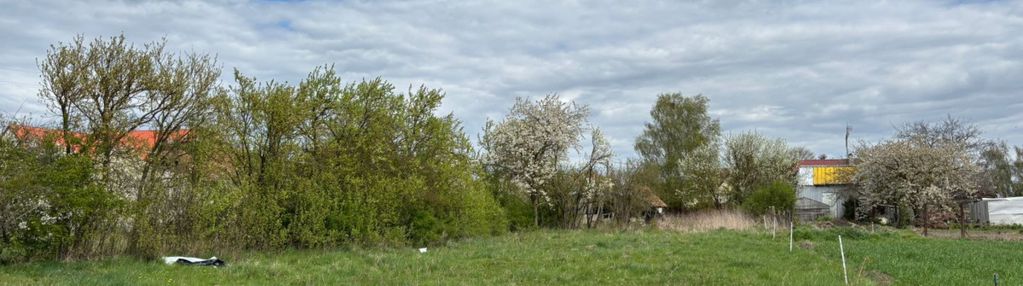 Działka kruszki - dobra lokalizacja