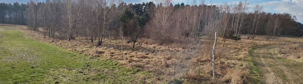 Działka pod lasem 1228 m2 dolice
