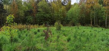 Działka w leśnie z wz-ką z 2025r. przy samym lesie