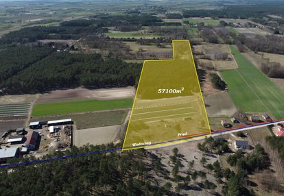 Spełnij marzenie o własnym! – 5,7 ha w leśniakach