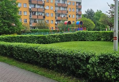 2 pokojowe mieszkanie do wynajęcia