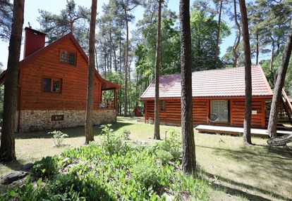 Dwa domy na dużej działce w leśnej otulinie