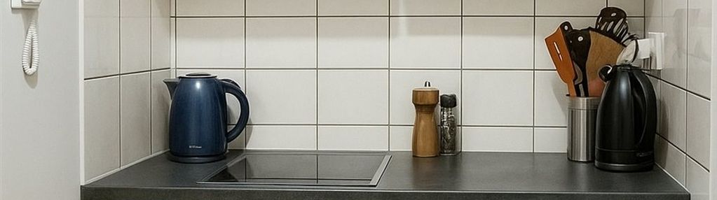 Gotowiec inwestycyjny | 3 pokoje | dochód 2 400 zł