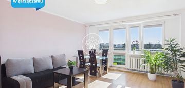 Dwupokojowe mieszkanie do wynajęcia górzyskowo