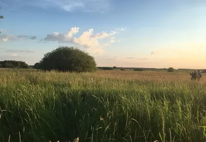 Działka na sprzedaż 3300m2