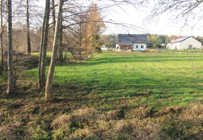 Urokliwa działka w gaszowicach - twój raj na ziemi