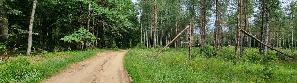 Działka budowlana, gorczyca, płaska, las