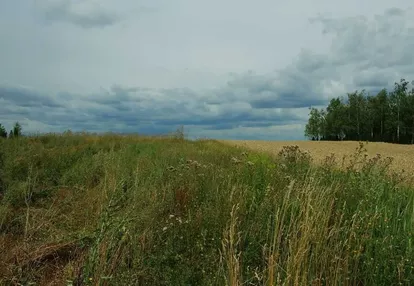 Działka na sprzedaż 2300m2