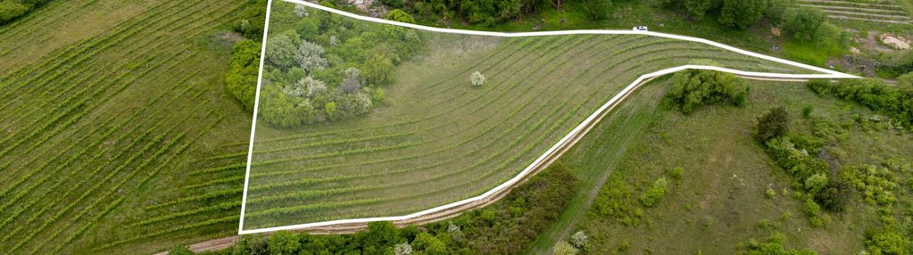 Rozpocznij tu swoją historię – tolkmicko 8984 m2