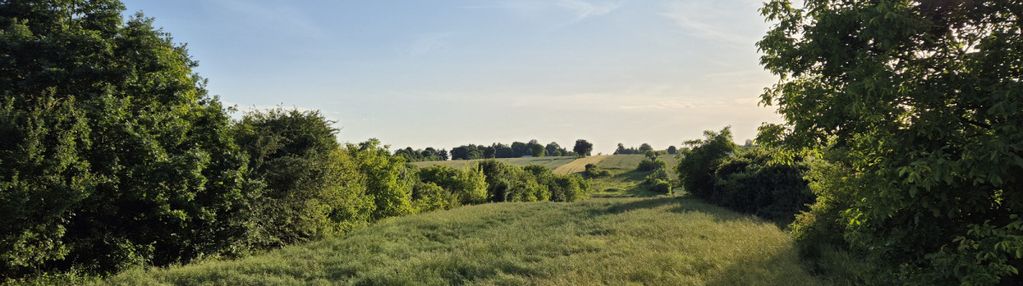 Do sprzedaży działka mieszkniowo usługowo 30 arowa
