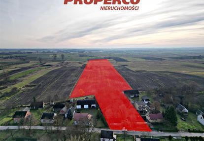 Działki o łącznej pow.65200m2,samostrzałów,gm.kije