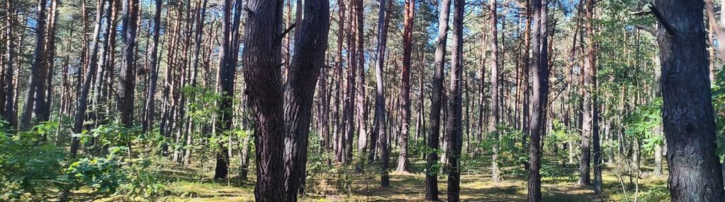 Na sprzedaż! działka - osiedle wilga