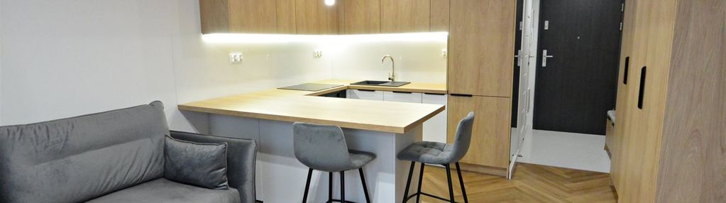 Mieszkanie 1-pok., 25m2, centrum, ul. kozia