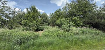 Dwie działki na sprzedaż