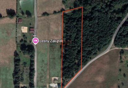 Spokój, natura, potencjał – 1,7 ha działki!