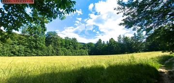 Działka budowlana widok na pasmo karkonoszy