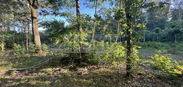 Działka na granicy złotokłosu i henrykowa