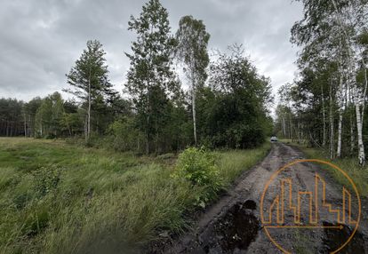 1.06ha za 44zł/m2 do negocjacji celinów