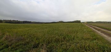 Pole uprawne, klasa bonitacji v i vi, las tuż obok