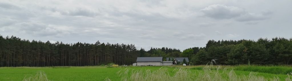 Piękne działki przy lesie (stefanowskie holendry)