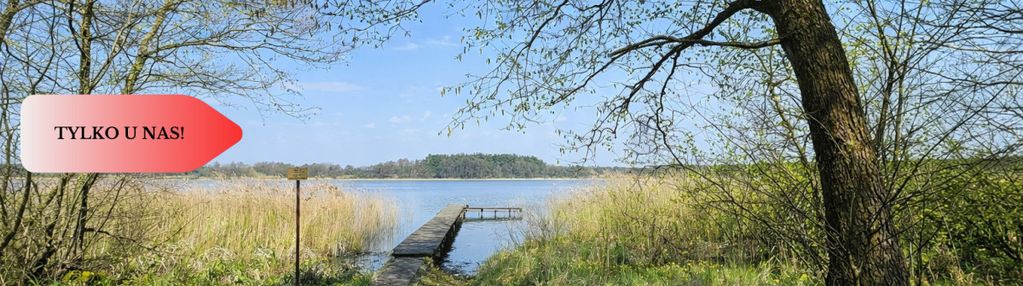 Działka z linią brzegową i własnym lasem!