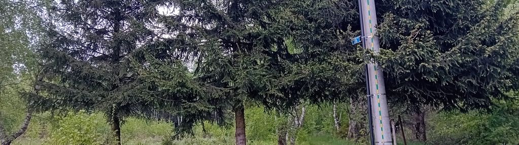 Piękna działka na sprzedaż