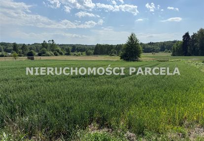 Działki budowalne w szotkowicach