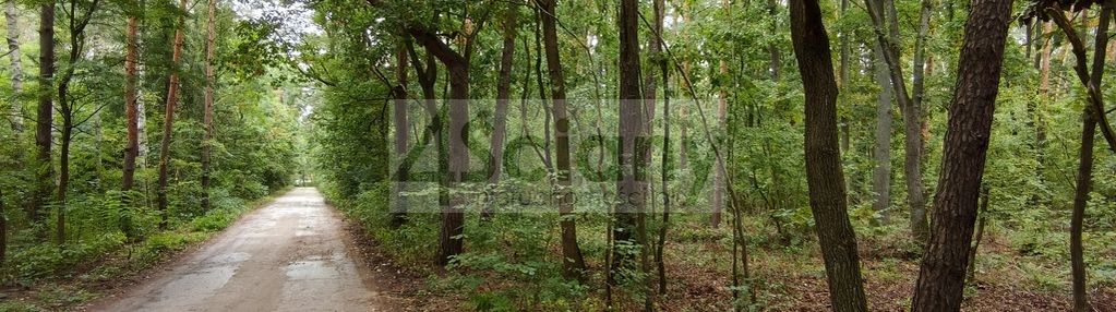 Działka budowlana1500 m² ojrzanów
