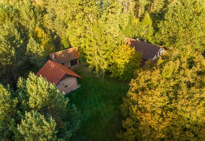 Siedlisko w otulinie lasu