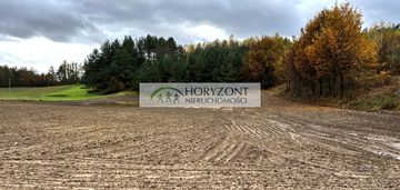 Mściszewice gm. sulęczyno działka 1,42 ha