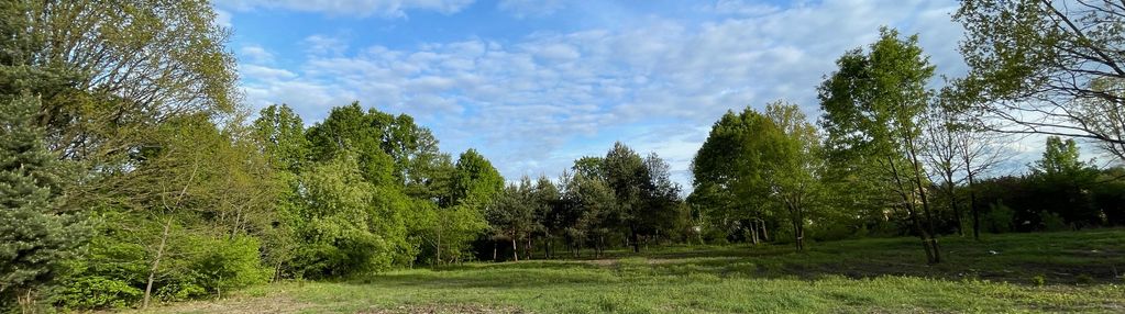 Działka budowlana 2993 m² – idealna inwestycja