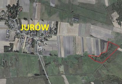 2,59 ha w jurowie, powiat tomaszów
