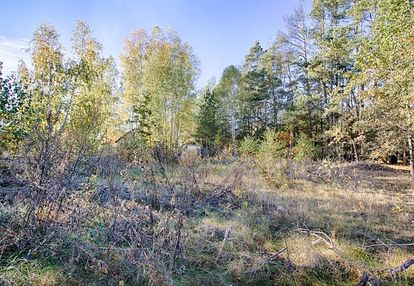 ***zwierki działka***