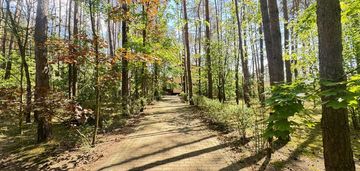 Działka 2581m2 dom 100m2 w lesie