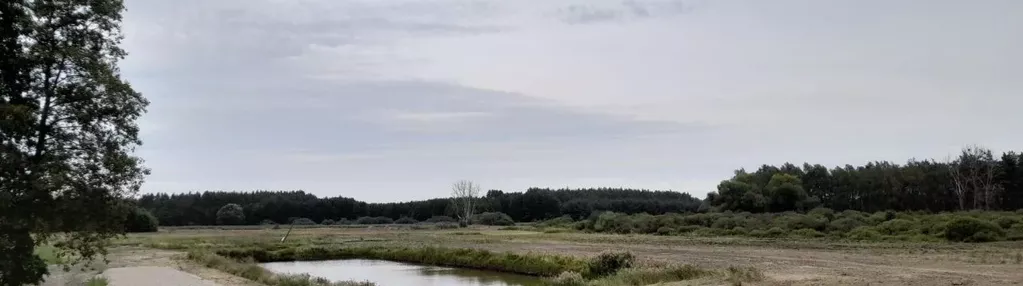 Działka na sprzedaż 3000m2