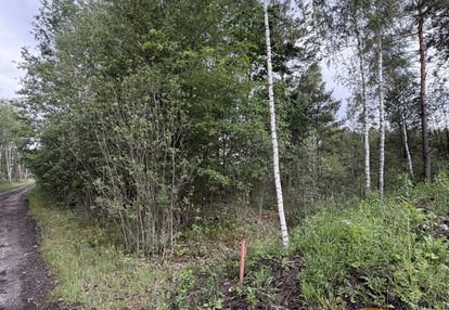 1.06ha za 44zł/m2 do negocjacji celinów