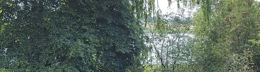 Piękna działka z linią brzegową j. witobelskiego
