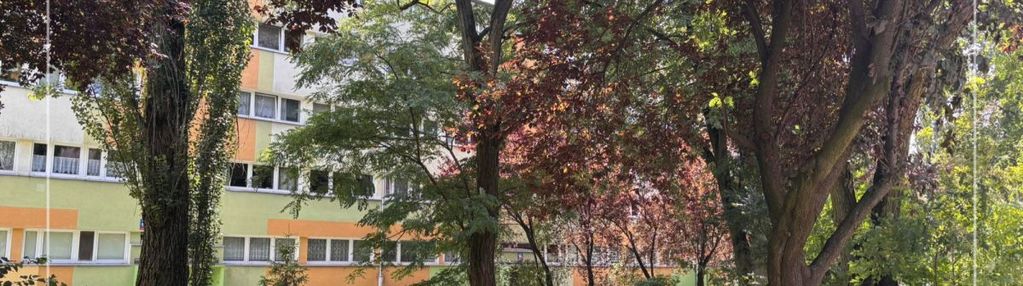 Mieszkanie dwupokojowe rozkładowe na parterze!