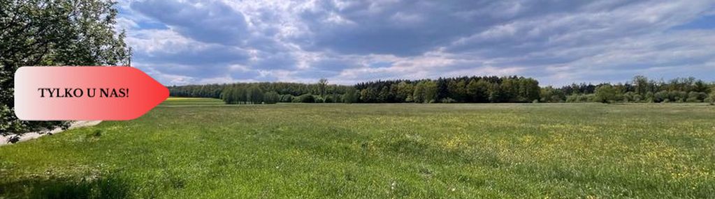 Malownicze działki w niesułowicach