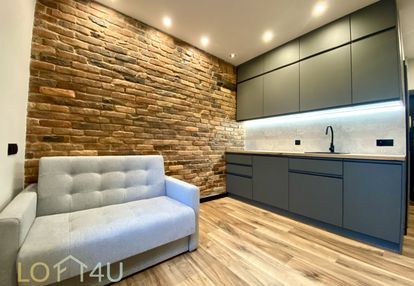 Loft-kawalerka na wynajem katowice, 5min do rynku