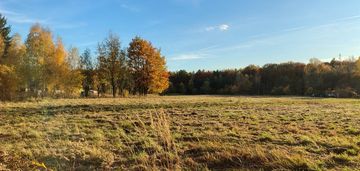 Działka budowlana przy lesie- ul. młyńska