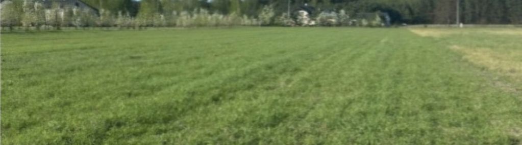 Działki inwestycyjne z wz