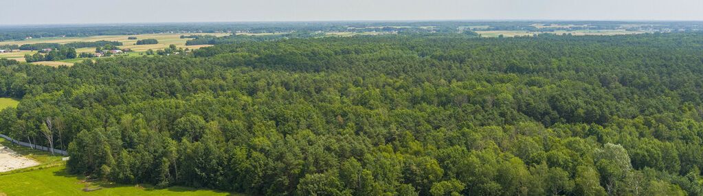 Działka leśna- narożniki- radgoszcz