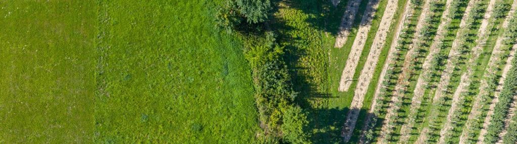 Widokowa działka budowlana 14 arów