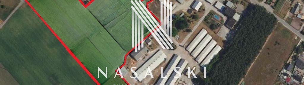 Grunt inwestycyjny/3,28ha/gm. łabiszyn/nowe dąbie