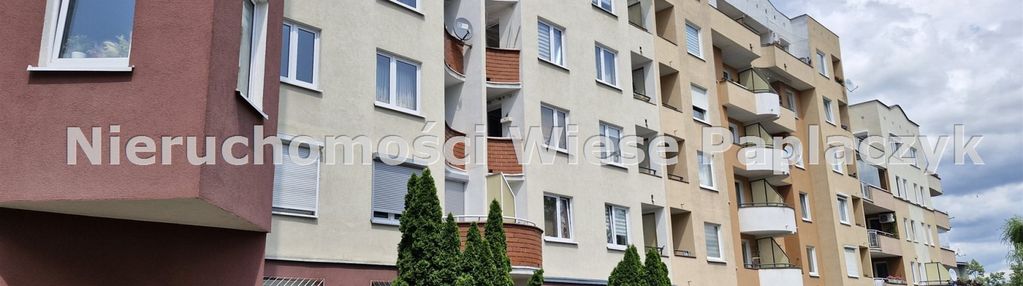 Wilda, 2 pokoje, kuchnia, wynajem