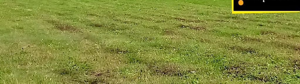 Działka pod agroturystykę w celinach 3,5 ha