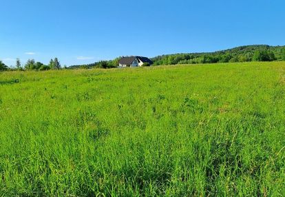 Działka budowlana w pisarowcach